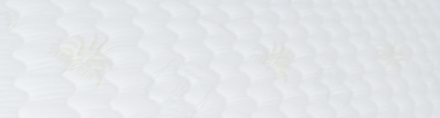 slider img